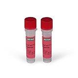 SsoFast EvaGreen 超混合液 | Bio-Rad Laboratories