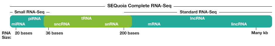 SEQuoia Complete Stranded RNA Library Prep Kit | Bio-Rad Laboratories
