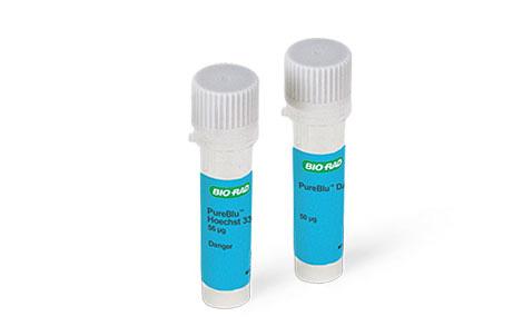 Nuclear Staining Dyes | Bio-Rad Laboratories