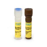 Bio-Plex Pro™ 人趋化因子检测产品 | Bio-Rad Laboratories