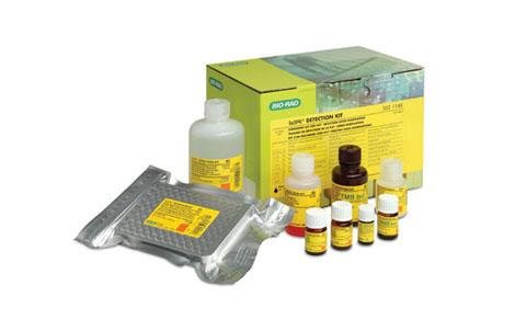 TeSeE Purification and Detection Kits | Bio-Rad Laboratories