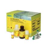 TeSeE Purification and Detection Kits | Bio-Rad Laboratories