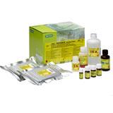 TeSeE Purification and Detection Kits | Bio-Rad Laboratories