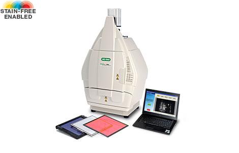 ChemiDoc XRS+ System | Bio-Rad Laboratories