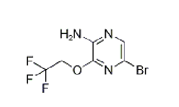5-Bromo-3-(2,2,2-trifluoroethoxy)pyrazin-2-amine,CAS: 947249-22-1