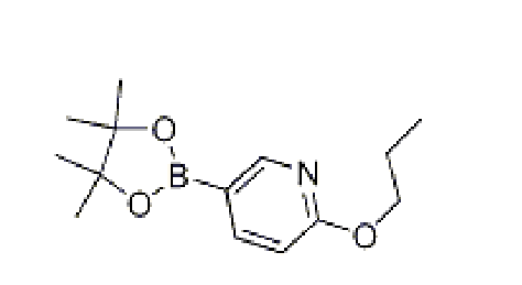 2-正丙基-5-吡啶硼酸酯,CAS:1257553-85-7