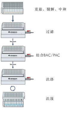 E-Z 96® Fastfilter BAC/PAC DNA Kit D1055 96孔快速法BAC/PAC DNA提取试剂盒