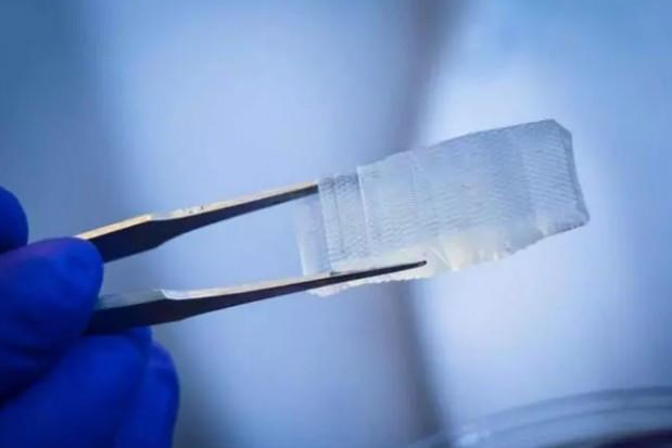 载鱼精蛋白包覆的乙肝疫苗纳米粒复合水凝胶