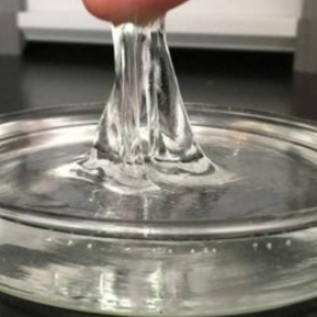 载多柔比星硫酸软骨素纳米粒复合水凝胶