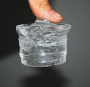 载神经毒素PLGA纳米粒复合水凝胶