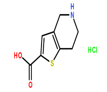 4,5,6,7-Tetrahydrothieno[3,2-c]pyridine-2-carboxylic acid hydrochloride,CAS:116118-99-1