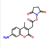 7-羟基-4-甲基香豆素-3-乙酸琥珀酰亚胺酯|cas113721-87-2