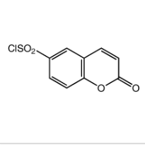 香豆素-6-磺酰氯|cas10543-42-7