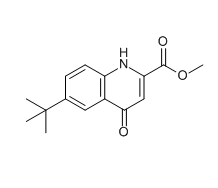 Methyl 6-(2-methyl-2-propyl)-4-oxo-1,4-dihydro-2-quinolinecarbo xylate,cas1270730-42-1