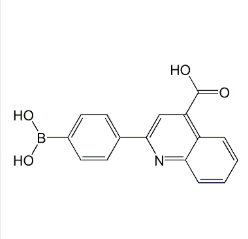 2-(4-二羟基硼烷)苯基-4-羧基喹啉|cas373384-17-9