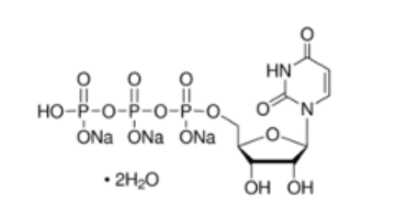 UTP;尿苷5-三磷酸二钠;CAS:116295-90-0