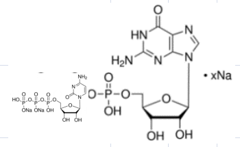 cas36051-31-7,GTP糖