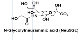cas1113-83-3，N-Glycolylneuraminic acid，(Neu5Gc)