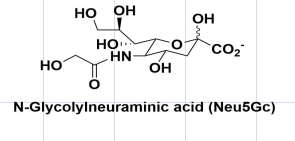 cas1113-83-3,N-Glycolylneuraminic acid,(Neu5Gc)