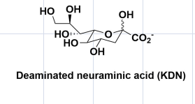 Deaminated neuraminic acid (KDN)