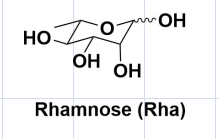 Rhamnose (Rha)