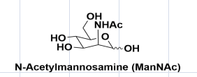 N-Acetylmnosamine (MNAc)
