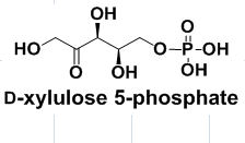 cas60802-29-1,cas138482-70-9,D-xylulose 5-phosphate