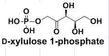 D-xylulose 1-phosphate,cas63323-91-1