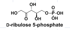 D-ribulose 5-phosphate,cas551-85-9