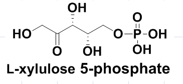 L-xylulose 5-phosphate