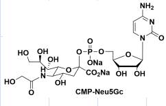 cas98300-80-2，CMP-N-glycolylneuraminic acid CMP-Neu5Gc