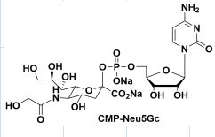cas98300-80-2,CMP-N-glycolylneuraminic acid CMP-Neu5Gc