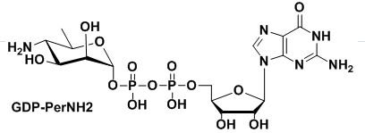 GDP-PerNH2