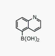 喹啉-5-硼酸|cas355386-94-6