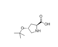 L-4-羟脯氨酸叔丁酯|H-HYP(TBU)-OH|CAS79775-07-8