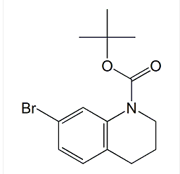 7-溴-3,4-二氢-1(2H)-喹啉甲酸叔丁基酯|cas1187932-64-4