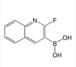 2-氟喹啉-3-硼酸|cas745784-10-5