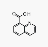 8-喹啉甲酸|cas86-59-9