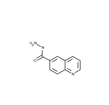6-喹啉甲酸肼|cas5382-47-8