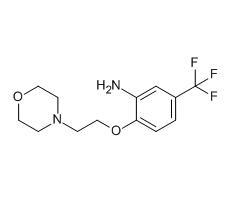 2-[2-(4-吗啉基)乙氧基]-5-(三氟甲基)-苯胺|cas862873-92-5