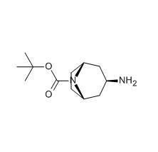 N-Boc-exo-3-氨基托烷|cas744183-20-8