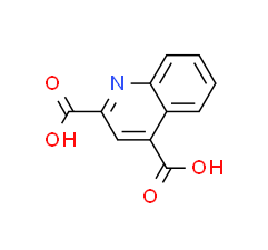 喹啉-2,4-二羧酸|cas5323-57-9
