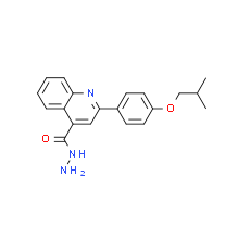 2-(4-异丁氧基苯基)喹啉-4-卡巴肼|cas956576-44-6
