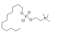 cas:29557-51-5|FOS-维生素B-12