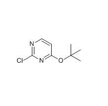 cas614729-28-1|2-氯-4-(叔丁氧基)嘧啶