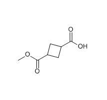 cas116569-00-7|3-甲氧羰基环丁烷甲酸