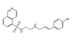 N-[2-[[(E)-3-(4-bromophenyl)prop-2-enyl]amino]ethyl]isoquinoline-5-sulfonamide,CAS:1000995-75-4