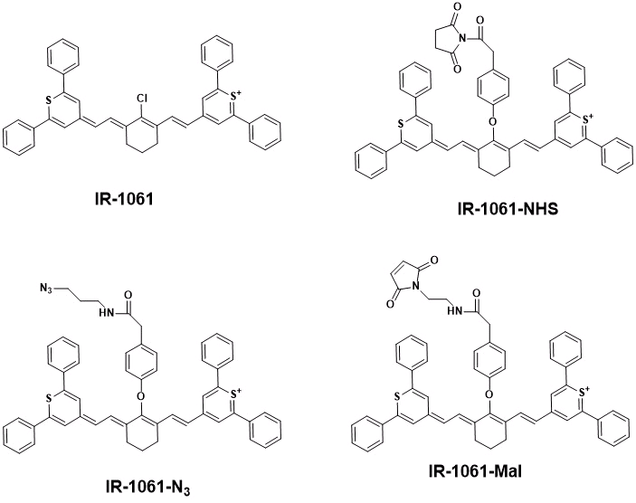 IR-1061-NHS，活性脂修饰NIR-II染料