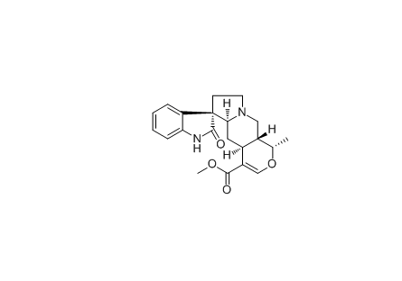 Isomitraphylline|cas:4963-01-3