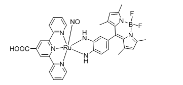 NO前药,CAS: 1646506-23-1